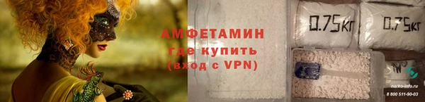 сатива Верея