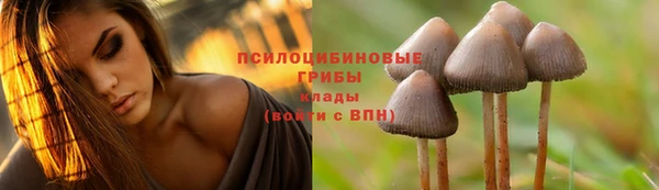 тгк Верхний Тагил