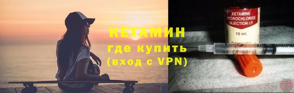 сатива Верея
