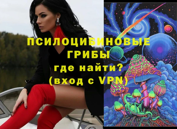 сатива Верея