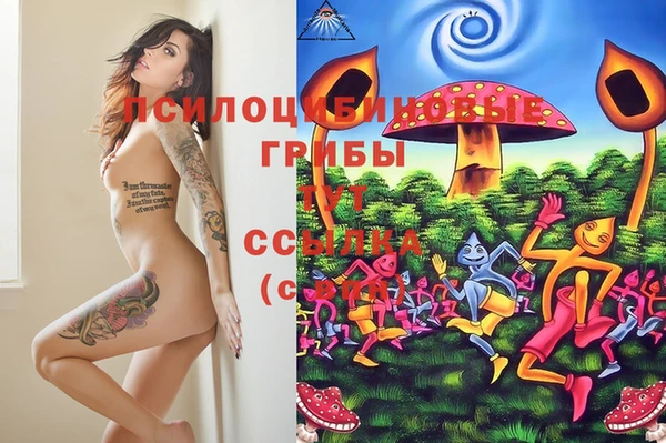 МДПВ Верхнеуральск