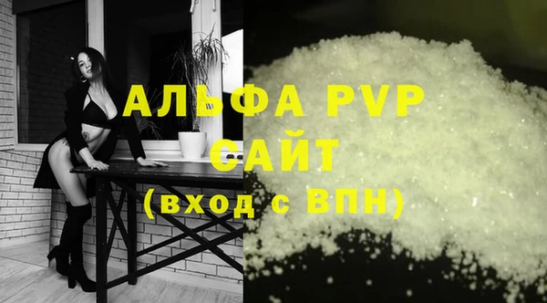 сатива Верея