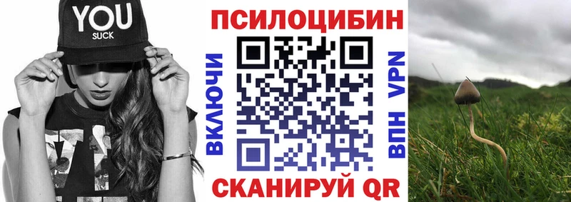даркнет сайт  Городец  Псилоцибиновые грибы Psilocybine cubensis 