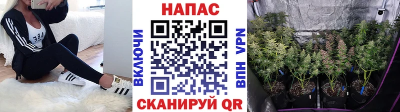 Конопля Ganja  Городец 